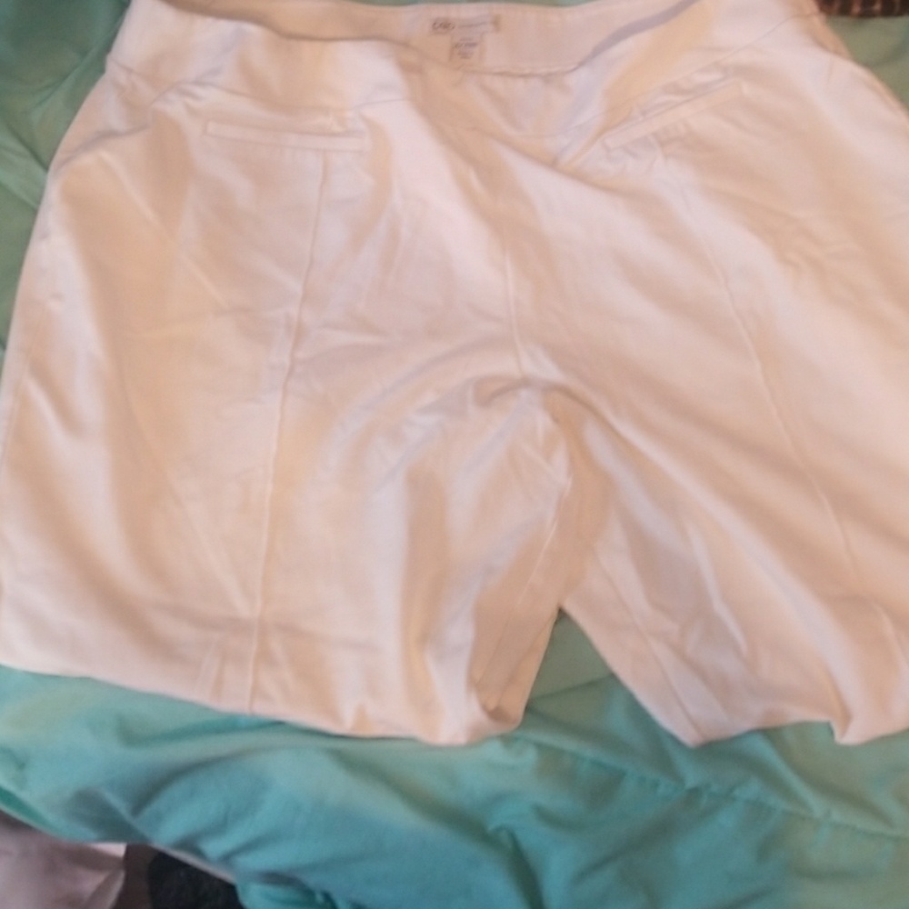 Wide leg pants